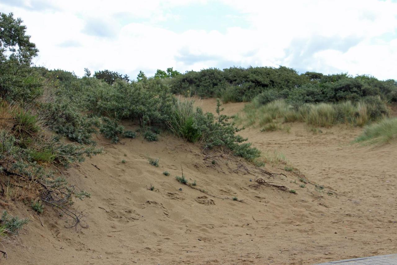 Duinroos C2 Lejlighed Koksijde Eksteriør billede